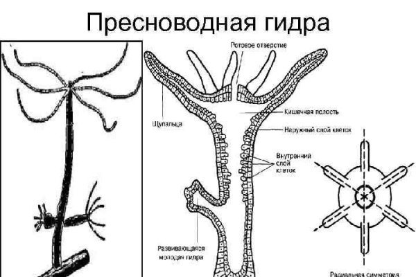 Kraken даркнет рынок ссылка